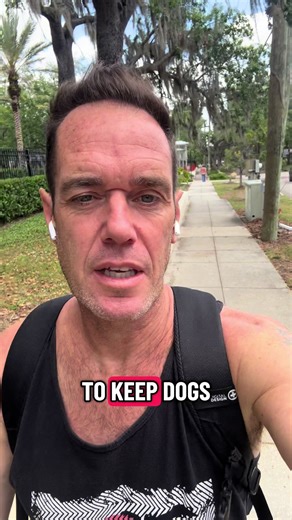 Support before Surrender 🐕 How would you feel about donating to a cause that focuses on prevention? Would it feel like a handout? Would it feel different than donating to a shelter? I feel like it would save money, time and resources if there was a fund that helped dog owners in financial crisis so their dogs could stay at home and not be surrendered. What are your thoughts? #dogstory #helpdogs