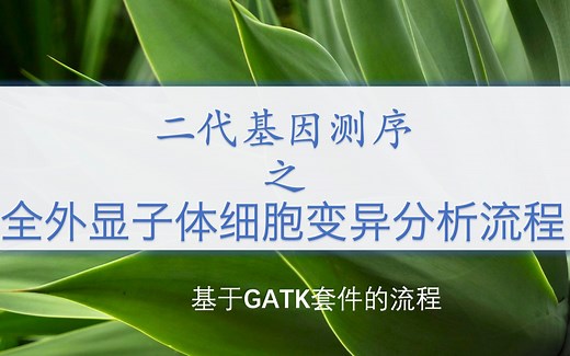 二代基因测序之全外显子测序体细胞突变分析GATK流程