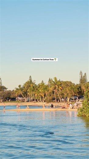 Take as long as you like ambling your way by the riverside at Cotton Tree 🌴 Summer days here are made for cooling off in the shallows, strolling beneath the palms, and heading out for a paddle 😍 Our tip? Set up your caravan at the Cotton Tree Holiday Park 👏 #VisitSunshineCoast #SunshineCoastForReal | Visit Sunshine Coast