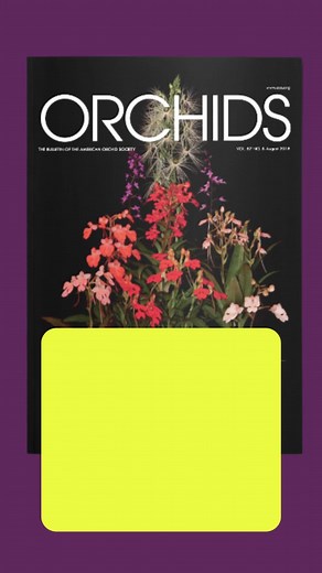 The award-winning ORCHIDS magazine can be yours for a whole year's worth of reading! These monthly issues are aimed at both novice and seasoned orchid growers. Get INSTANT access to nearly 1,000 issues (all the way back to 1932!), Priceless! Discover additional benefits of being an AOS Gold member here:https://bit.ly/3BNRKwr | American Orchid Society