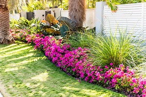 5 Florida Backyard Landscape Ideas [  Tips for a Glorious Garden!]