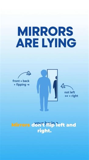 Your Brain Flips Left Right—Not Mirrors #didyouknow #sciencefacts #brainfacts