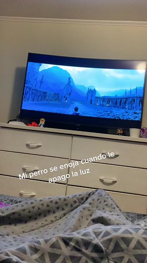 Amo a mi perro !