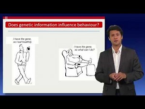 Nutrigenomics and Personalized Nutrition
