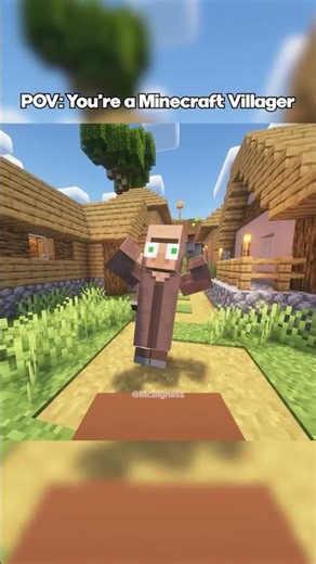 POV: You're a Minecraft Villager