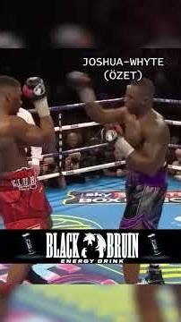 The Chaotic Joshua vs. Whyte Fight in 90 Seconds 🥊