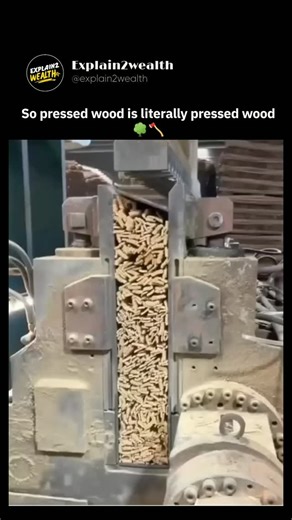 Explain2wealth | This video shows the hydraulic pressing phase in particleboard manufacturing, where resin-coated wood chips are compressed at temperatures... | Instagram