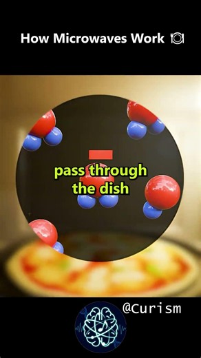 How Microwaves Work 🍽️