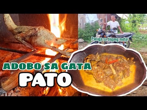 Ep.7 New Season | Adodo sa Gata na PATO (Duck) Stew Duck in Coconut Milk | Simple life in Province