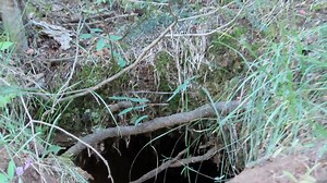 RMSO Bigfoot Scouting Investigation Into Slot Canyons Below Reported Sasquatch Sightings in the Wasatch Mountains #wildman #sasquatch #creature #bigfoot | Rocky Mountain Sasquatch Organization