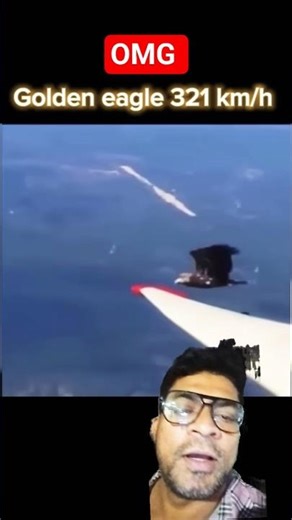 🔥 Golden Eagle vs Peregrine Falcon 🦅⚡Power meets speed in the ultimate sky battle!