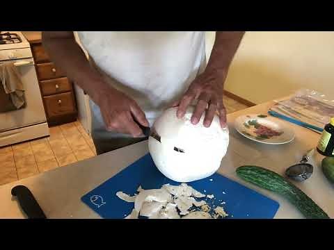 Giant Puffball Mushroom