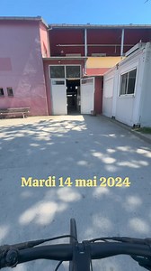 38K views · 490 reactions | Tout le monde a ete sage ♥️ #entresesoreilles #humour #cheval #equitation #juliaetgoldie #juliaetgore #entresesoreillesvlog #minivlog #vlog | Entresesoreilles | Facebook