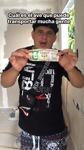 56K views · 841 reactions | Cuál es el ave? | El chele tv | Facebook