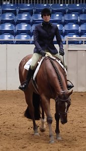 Day 5 of the 2022 Appaloosa Youth World and National Show⭐️ Video created by Alexis Grogan | Appaloosa Horse Club