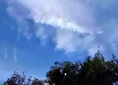 June 2023 - Auckland New Zealand 🇳🇿 Are these geo-engineered clouds or is there something hiding inside? 🤔 📸 Amber Skeaping #alienskiescommunity #alienskies | Alien Skies