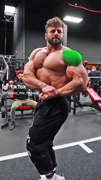 Ultimate Shred Workout Program for Body Transformation