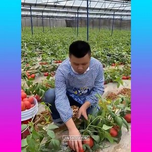 37K views · 45 reactions | Oddly Satisfying Fruit Ninja | Mr. Black | Facebook