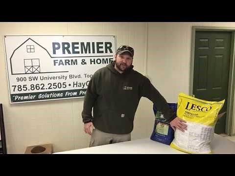 Crabgrass pre-emergent questions answered