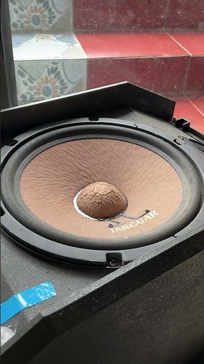 CRAZY BASS! Testing a Premium 25cm 10 inch Speaker Cone Excursion & Sound Quality #basstest