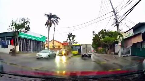 Escaped buffalo attacks pedestrian in Vietnam