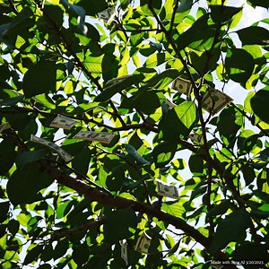 46 reactions | Shark Tank: This will make someone a trillion dollars. | The Motley Fool | Facebook