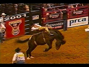1.1K views · 52 reactions | Beutler & Son Rodeo's #12 Commotion bucks off William Pittman II during the semifinal round at a 2001 rodeo in Dallas, TX. | All Things Roughstock | Facebook