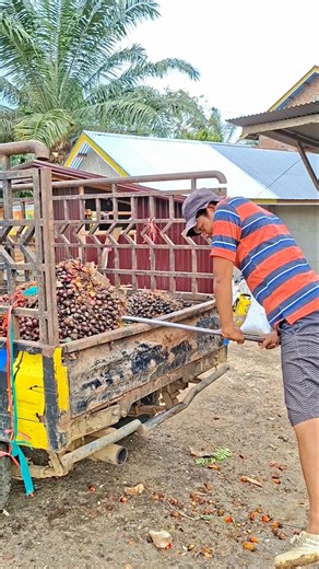 This brain is not working... work doesn't have to rely on muscles #palmoil