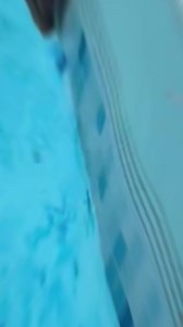 ¿Cobre en la piscina?💧🔌 | Breaking Vlad