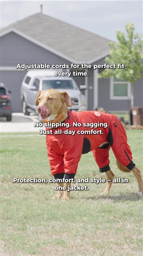 Every dog is built differently — so why settle for a...