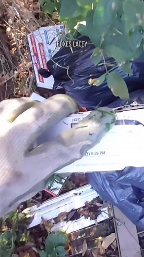 Some humans make it so easy! #illegaldumping #litterhunter #cleanenvironment #dontlitter #trash #ontario