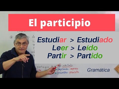 El participio en español : usos y formas