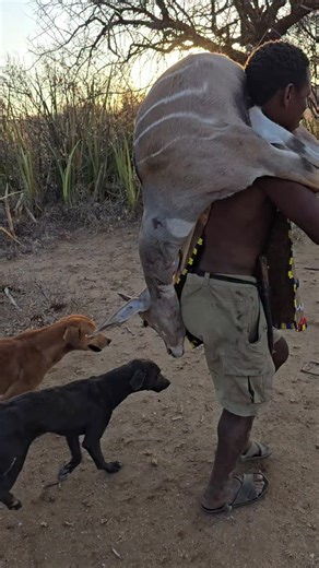 Hadzabe Storytelling on Instagram: "amazing hunt with hadza hunters #trending #usa #food"