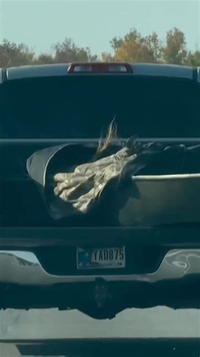 #yourthoughts | Elizabeth Grace Perkins