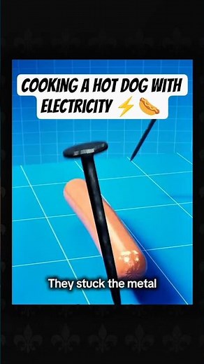 Cooking a Hot Dog with Electricity ⚡🌭 | Shocking Science Experiment #youtubeshorts