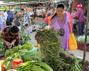 Yummy water mimosa cooking | FOOD & COOK
