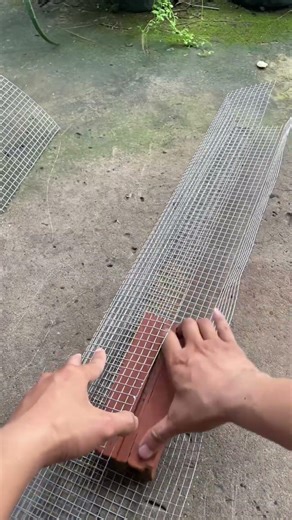 Set up a homemade snake trap.