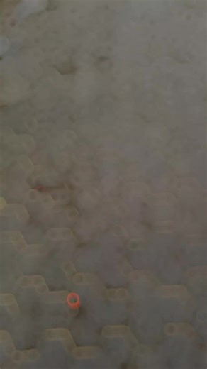 Exploring the Polo 86C: A True Icon of Ostfriesland