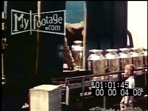 1950s Dairy Farm Cow Milking and Milk Transport
