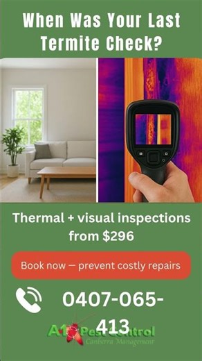 Long-term termite protection management with A1 Pest Control Canberra