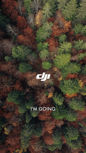 11K views · 177 reactions | Are you ready to feel the adrenaline? DJI Mic2 captures, roar of engines, and every explosive sound, bringing you closer to the heart-pounding action. : IG/tommaso.lodde #DJI #Mic2 #WirelessMic #engine | DJI | Facebook