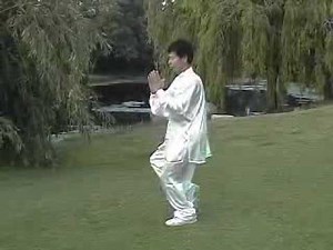 Sun style Tai Chi 73 Taiji