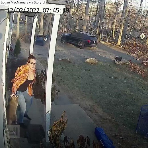 Connecticut mom rescues 5-year-old daughter from raccoon attack