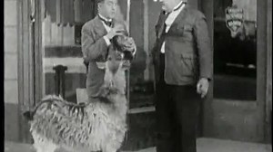 Angora Love (1929) Stan Laurel, Oliver Hardy, Harry Bernard