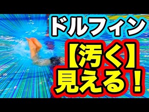 【バタフライ】ドルフィンキック【美しいフォーム】でキックを打つ（コツ・テクニック）【膝の曲げ方】