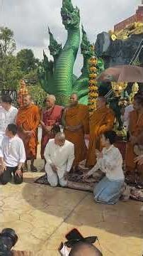 Live broadcast of Morning News #love #tarot #voiceeffects #ttvnewsonline channel. Stay tuned for ...