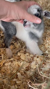 1.4M views · 79K reactions | The world is changed by your example,...