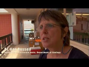 A Foram's Tale - Documentary