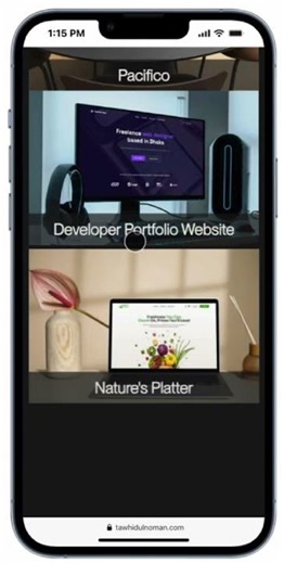 Portfolio Website Design Using Webflow