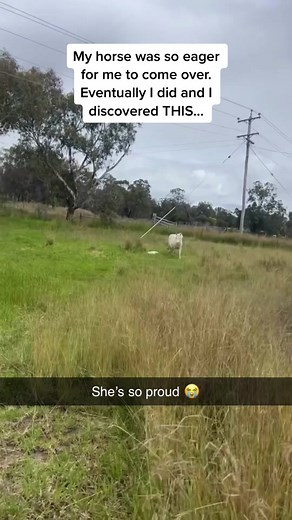 Her body language is so wholesome 😭😭😭 (Madeline Smith via @ViralHog) #pubity